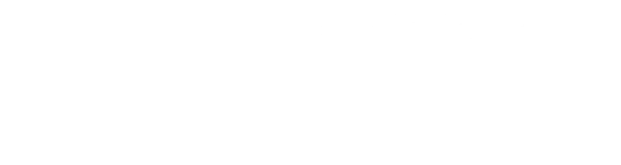 Eu Logo White
