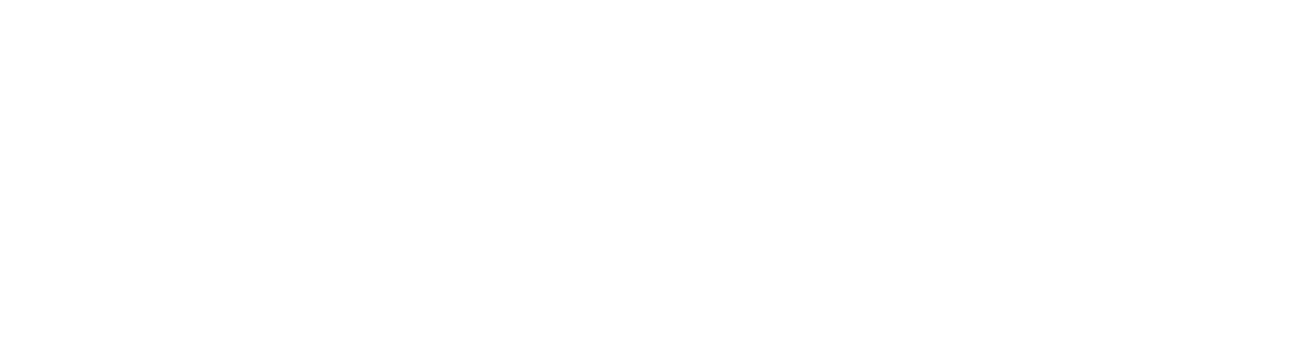 Uneiz White Logo