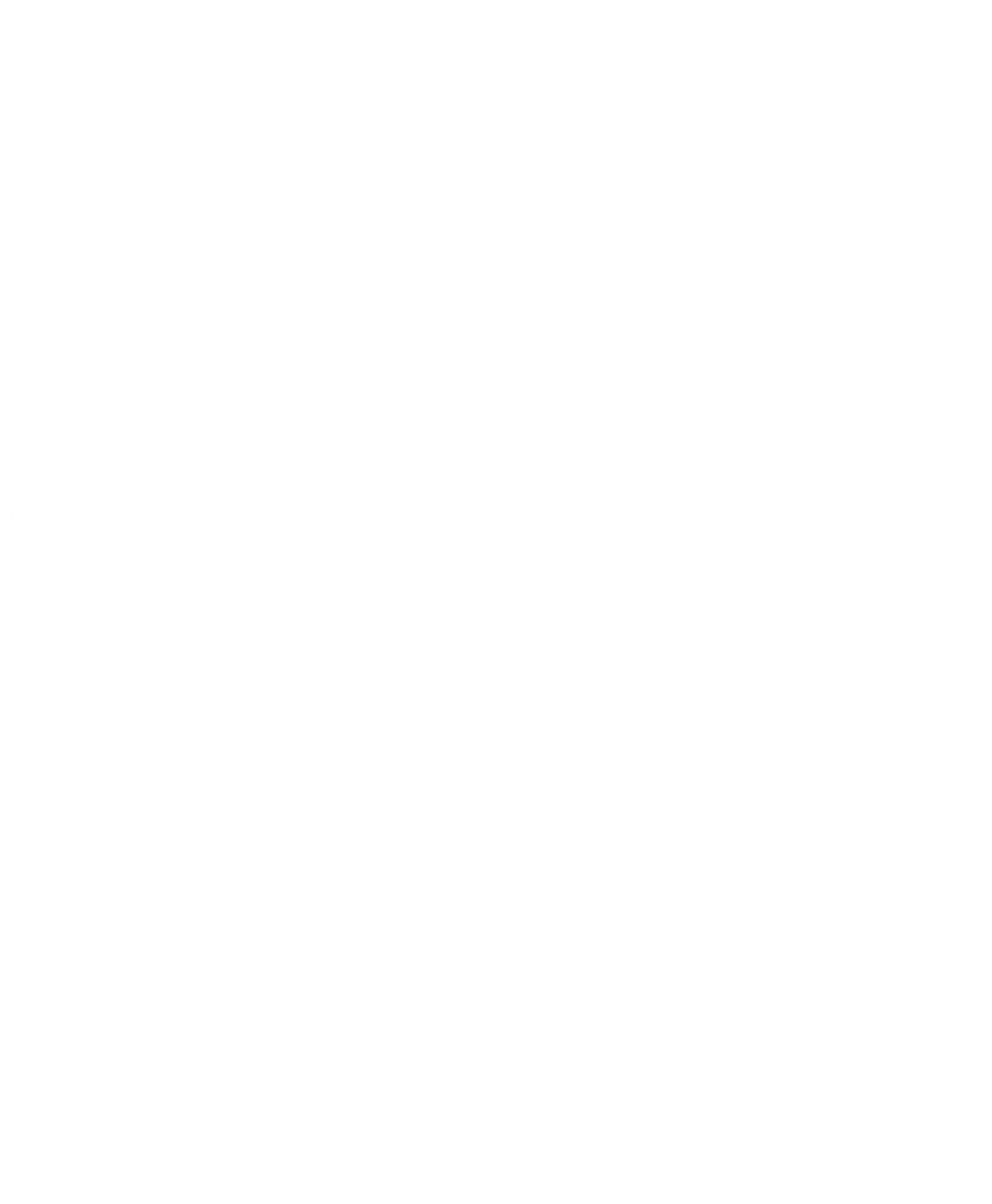 Google Logo White