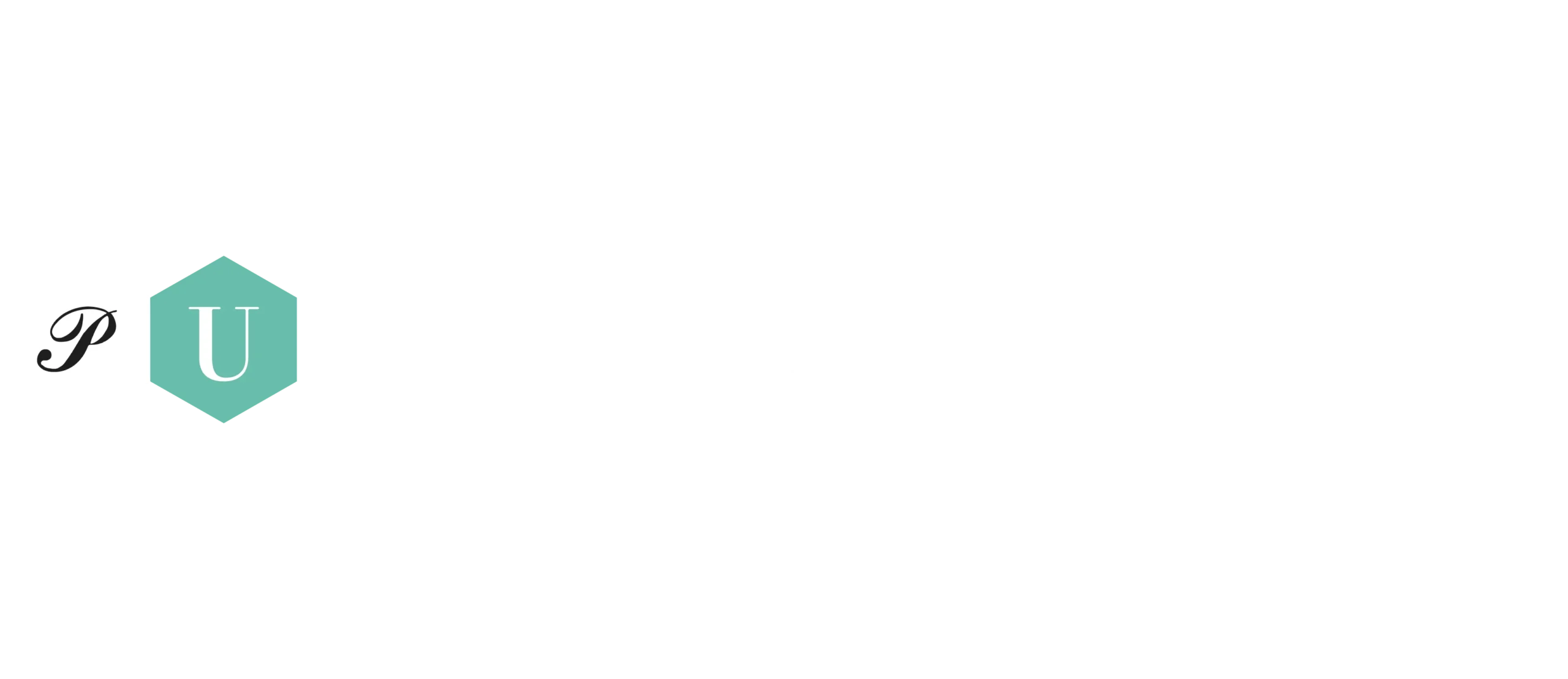 Pitti Immagine Logo White