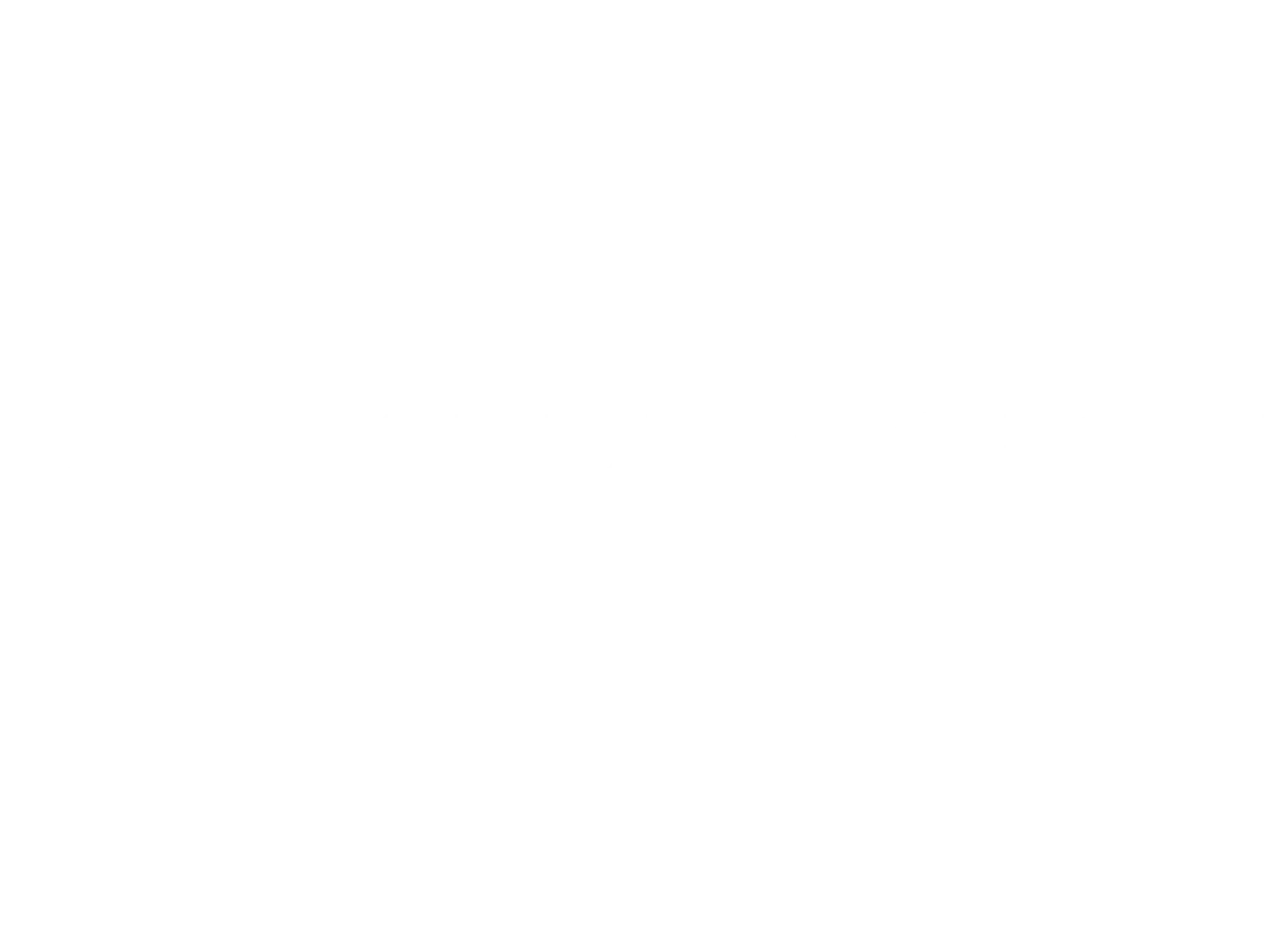 Premierevision Logo White