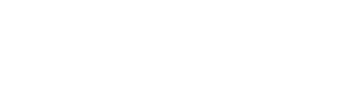 Gemini Logo White