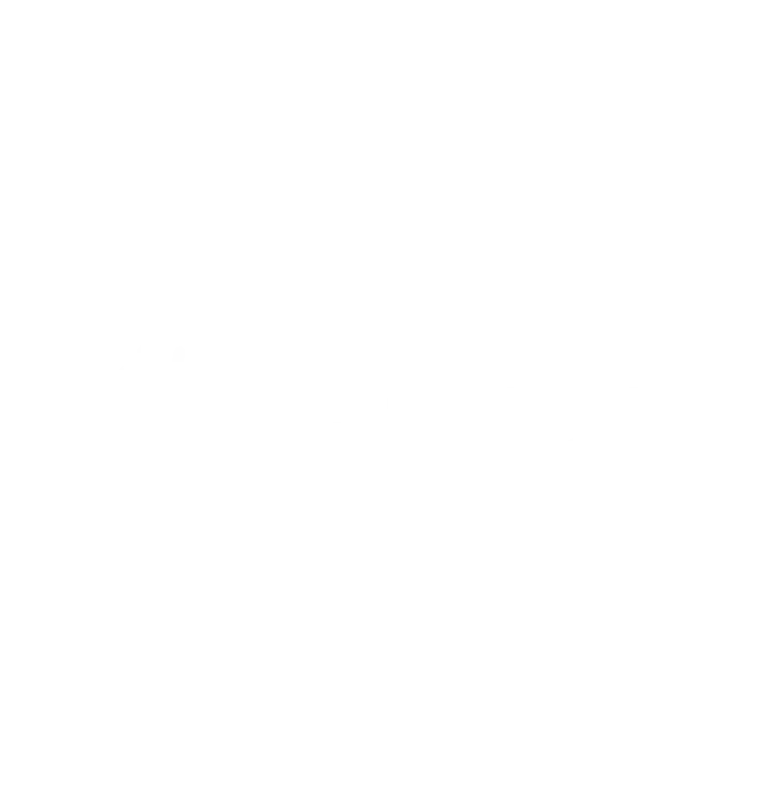 Claude Logo White Carrusel