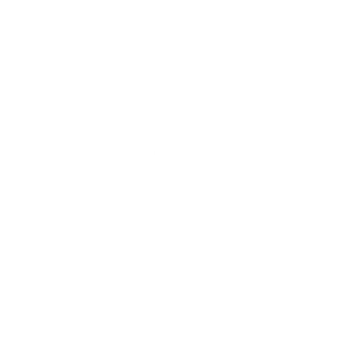 N8n Logo White Carrusel