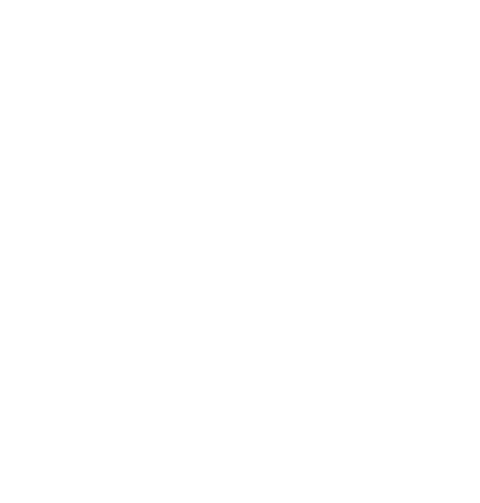 Synesthesia Logo White Carrusel